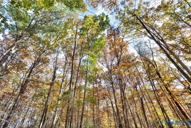 00 Maidens Rd, Maidens, VA 23102