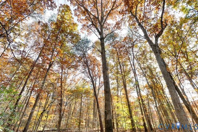 00 Maidens Rd, Maidens, VA 23102