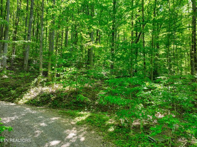 2122 Walden Cove Way, Sevierville, TN 37862