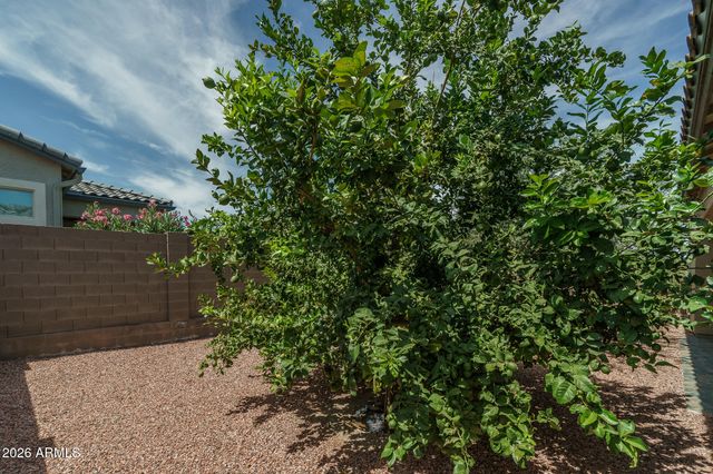 18059 W TANGLEWOOD Drive, Goodyear, AZ 85338