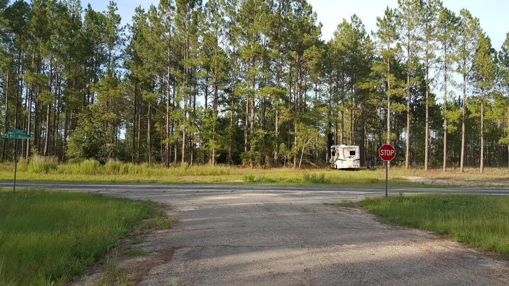 1611 W G MARTINELLI BOULEVARD, Citrus Springs, FL 34434