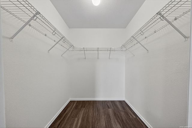 21919 Goldcrest Run, San Antonio, TX 78260