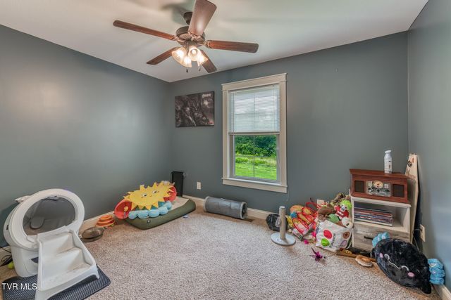 291 Anderson Street, Limestone, TN 37681