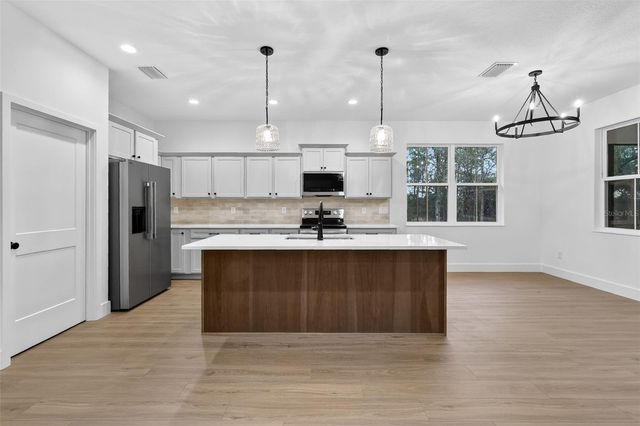 1543 COUNTY ROAD 243A, Wildwood, FL 34785