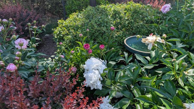 4757 Laryn LN, Roanoke, VA 24018