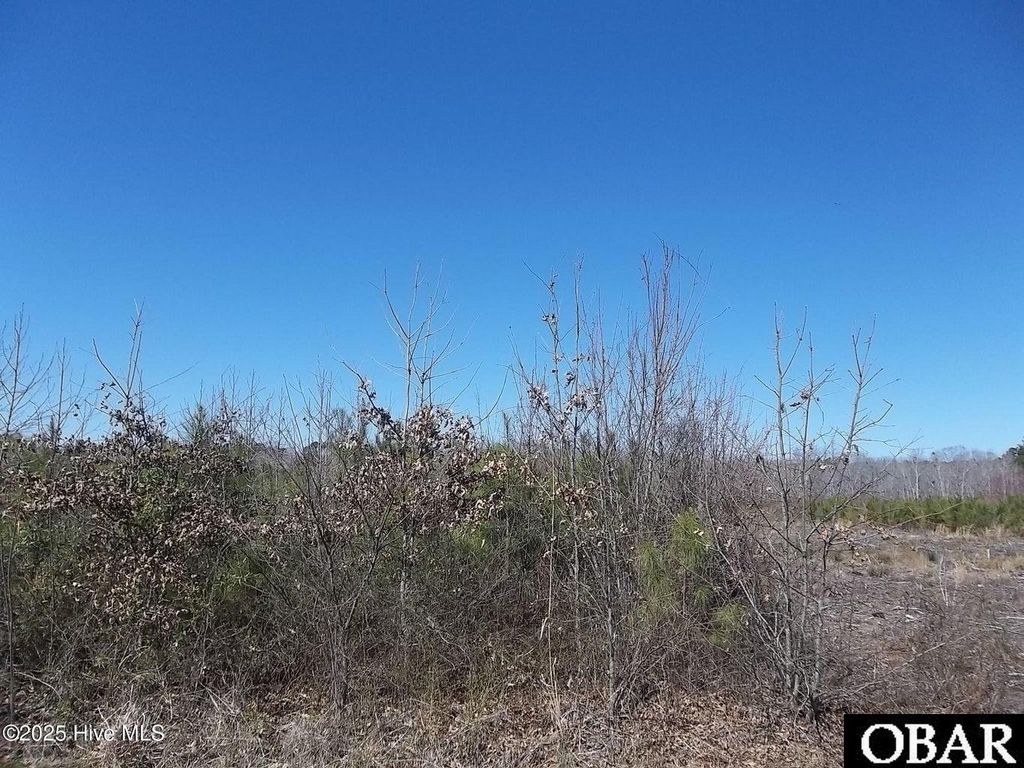 Image 1 of property listing at TBD Boat Ramp Road Lot #6, Hertford, NC 27944