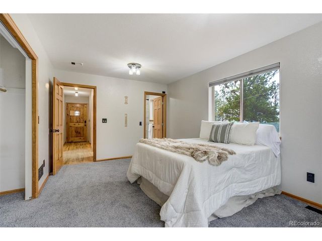 163 Big Horn Ln, Florissant, CO 80816