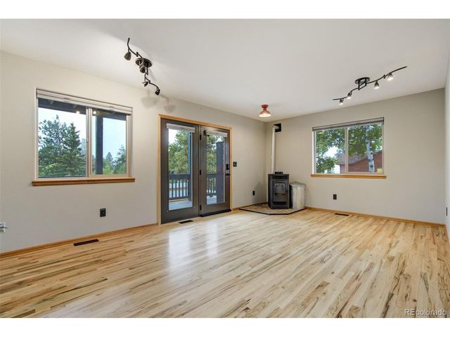 163 Big Horn Ln, Florissant, CO 80816