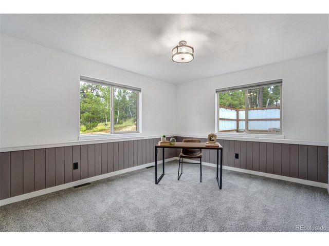 163 Big Horn Ln, Florissant, CO 80816