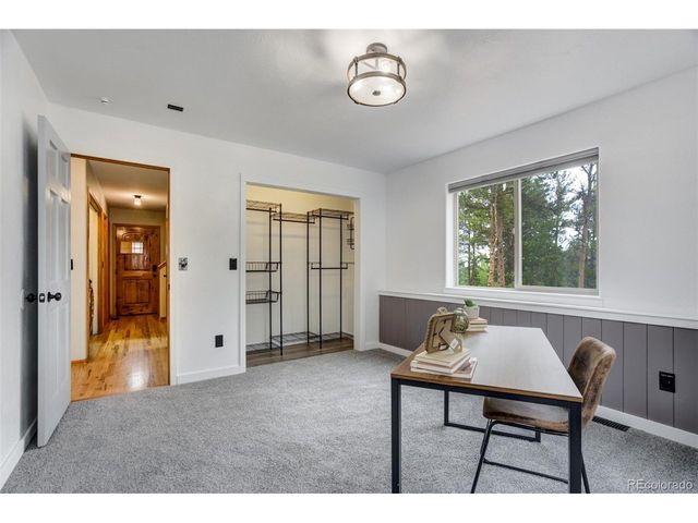 163 Big Horn Ln, Florissant, CO 80816