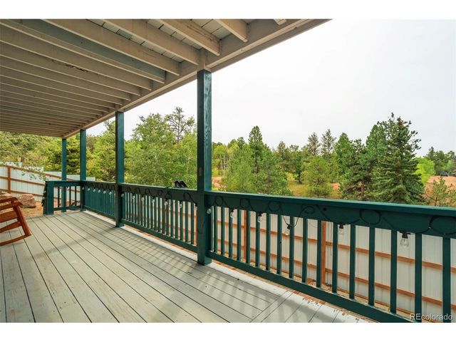 163 Big Horn Ln, Florissant, CO 80816