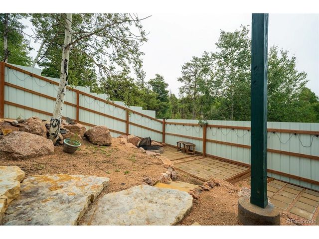 163 Big Horn Ln, Florissant, CO 80816