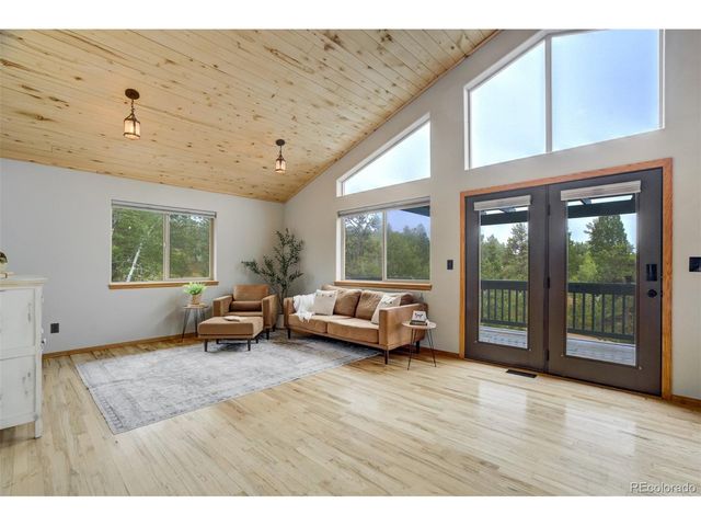 163 Big Horn Ln, Florissant, CO 80816