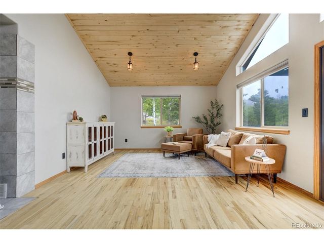 163 Big Horn Ln, Florissant, CO 80816