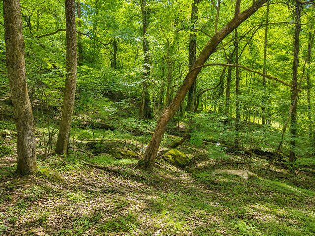 2145 S Berrys Chapel Ct, Franklin, TN 37069