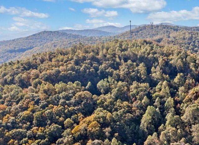 Lot 3 Upper Sassafras Parkway, Jasper, GA 30143