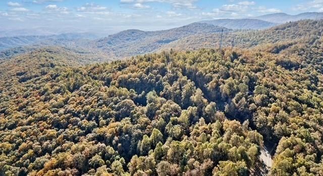 Lot 3 Upper Sassafras Parkway, Jasper, GA 30143
