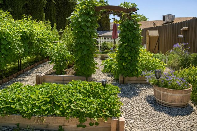 138 Roxie Ct, Ripon, CA 95366