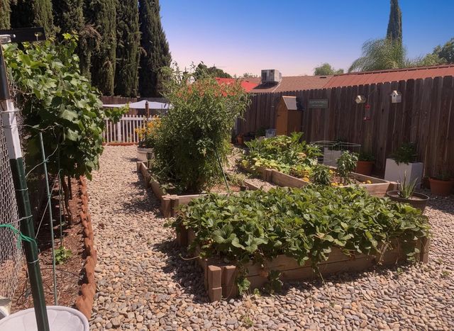 138 Roxie Ct, Ripon, CA 95366