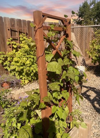 138 Roxie Ct, Ripon, CA 95366