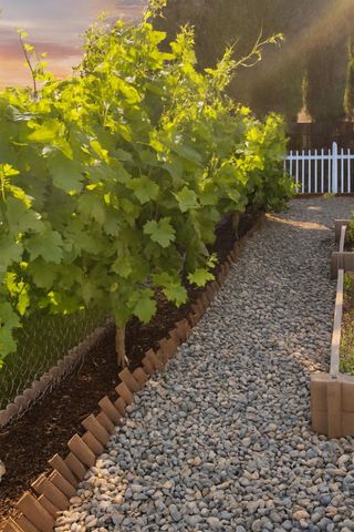 138 Roxie Ct, Ripon, CA 95366