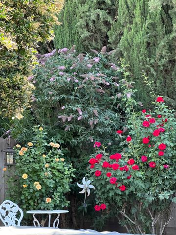 138 Roxie Ct, Ripon, CA 95366