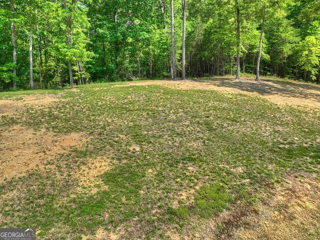 2113 Turniptown Road, Ellijay, GA 30536