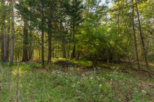 0 Payne Chapel Road, Lookout Mountain, GA 30750