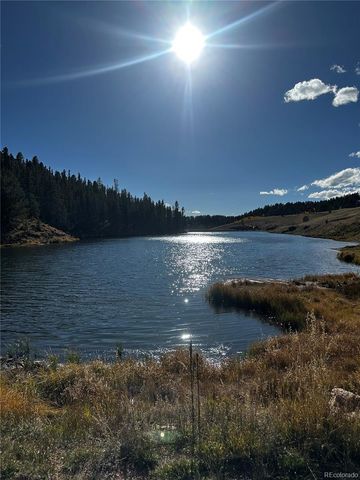 458 Spruce Lake Drive, Divide, CO 80814