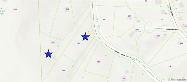 458 Spruce Lake Drive, Divide, CO 80814