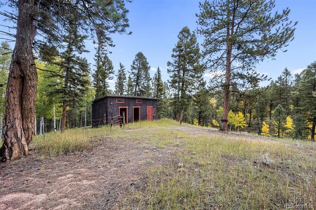 458 Spruce Lake Drive, Divide, CO 80814