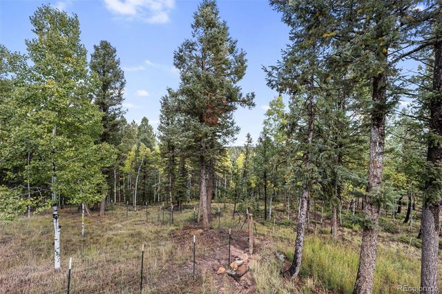 458 Spruce Lake Drive, Divide, CO 80814