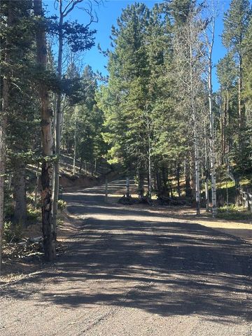 458 Spruce Lake Drive, Divide, CO 80814