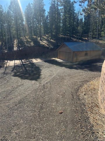 458 Spruce Lake Drive, Divide, CO 80814