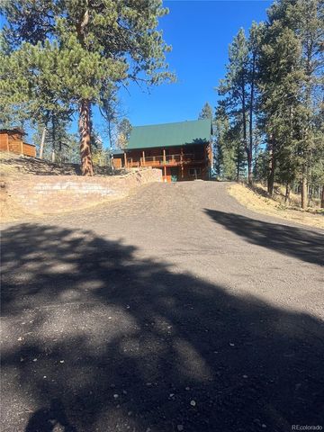 458 Spruce Lake Drive, Divide, CO 80814