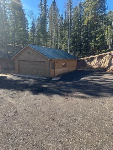 458 Spruce Lake Drive, Divide, CO 80814