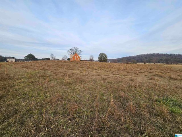 200 COUPLAND LANE, Odenville, AL 35120