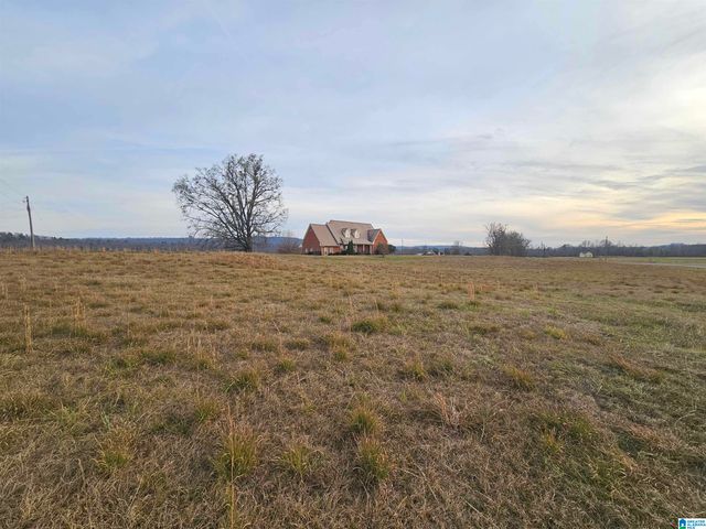 200 COUPLAND LANE, Odenville, AL 35120