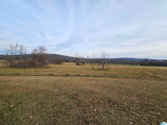 200 COUPLAND LANE, Odenville, AL 35120