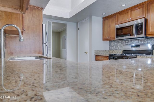 1668 DICK RITTER Drive, El Paso, TX 79936