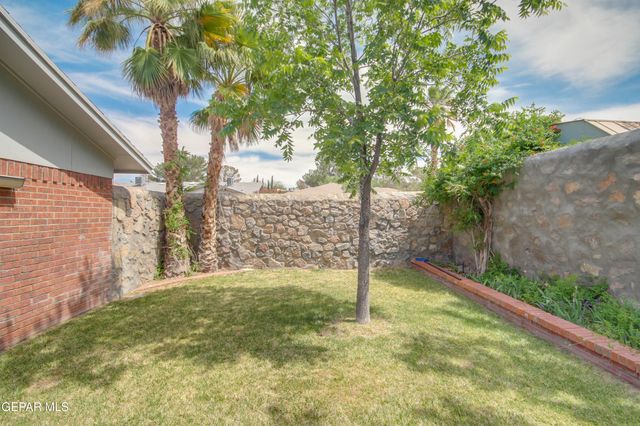 1668 DICK RITTER Drive, El Paso, TX 79936