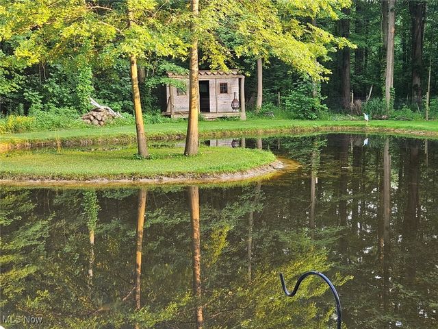 9119 Boyer Lane, Kirtland Hills, OH 44060