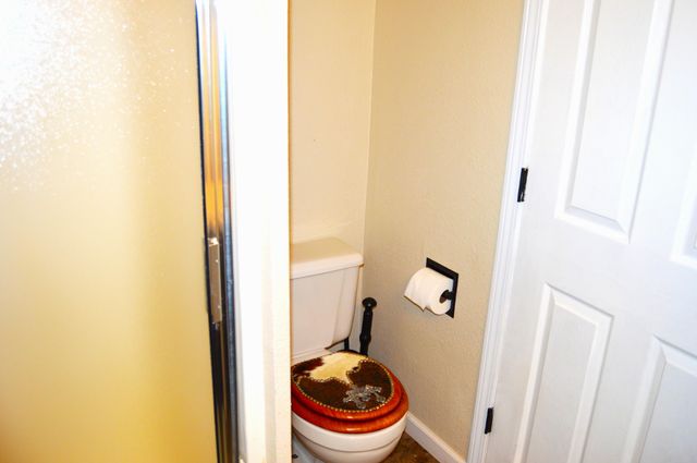 360 Cathy Street, Branson, MO 65616