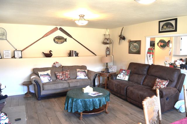 360 Cathy Street, Branson, MO 65616