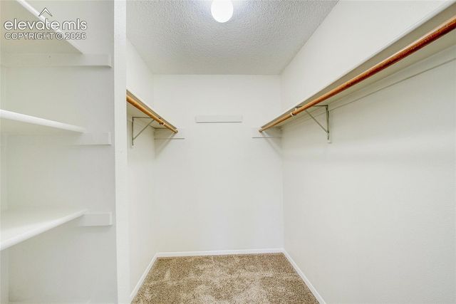 6139 Little Pine Circle, Colorado Springs, CO 80918