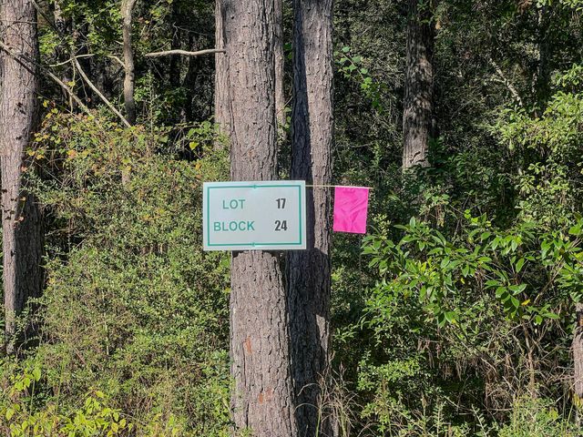 185 Rim Rock Road, Huntsville, TX 77340