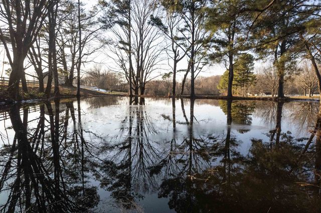 121 REED CIR, Drummonds, TN 38023