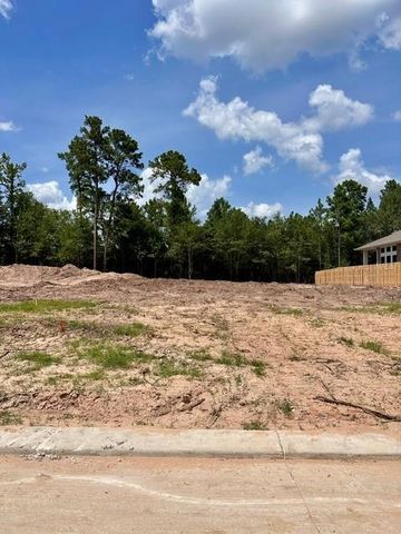 1618 Leona Lane, Todd Mission, TX 77316