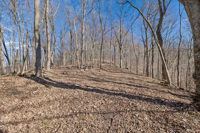 215 Hickman Creek Road S, Hickman, TN 38567