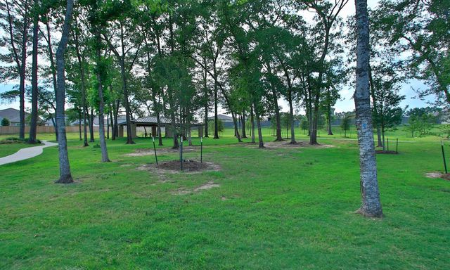 108 Clay Creek Lane, Conroe, TX 77316